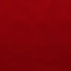 Mystic Flame Velvet Fabric