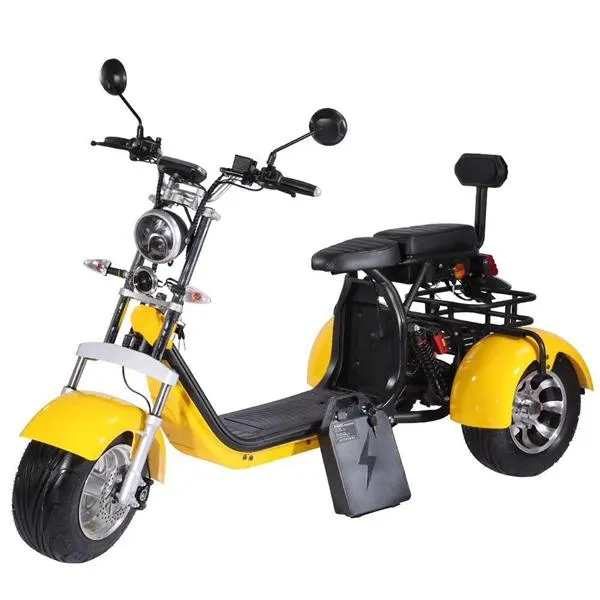 SoverSky T7.2 60V 20Ah/40Ah 2000W Electric Trike Scooter