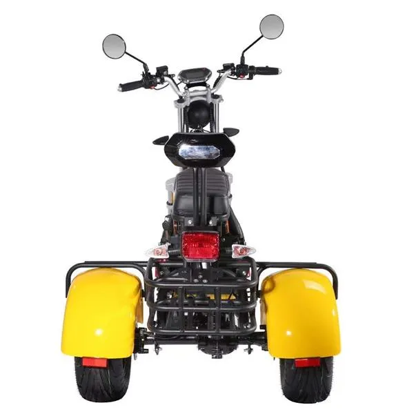 SoverSky T7.2 60V 20Ah/40Ah 2000W Electric Trike Scooter